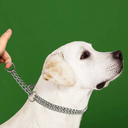 Skanto | Stainless Steel Dog Training Collar