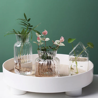 Glass Vase (Various Shape) | Bowlift