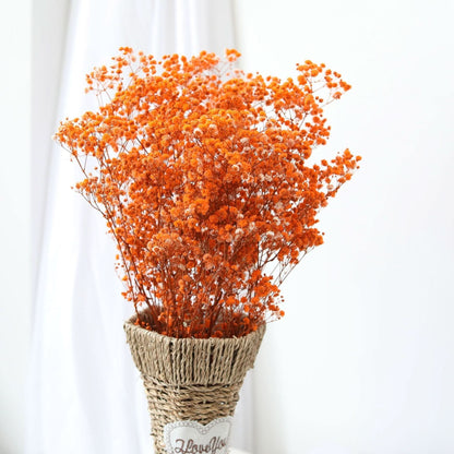 Skanto Skanto | Dried Preserved Gypsophila Flower Bunch – Natural Decor