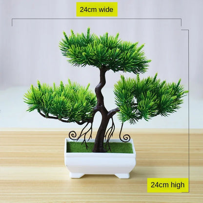 Skanto | Small Wooden Pot Bonsai Planter