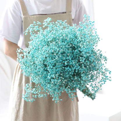 Skanto Skanto | Dried Preserved Gypsophila Flower Bunch – Natural Decor