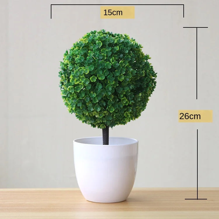 Skanto | Small Wooden Pot Bonsai Planter