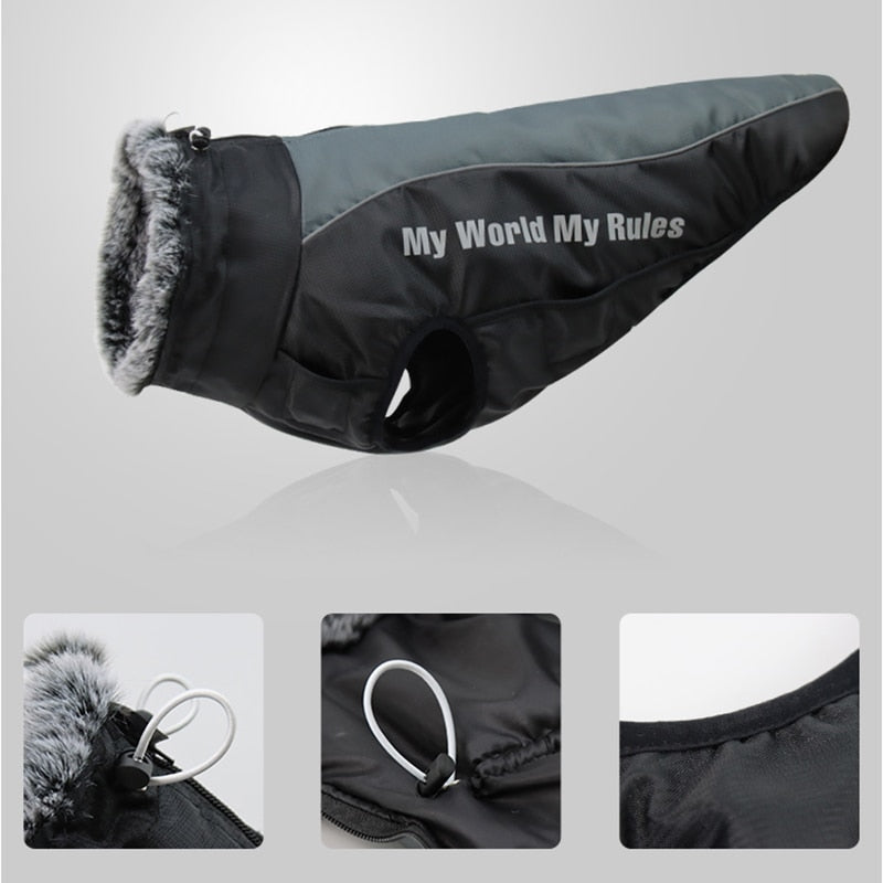 BowLift | Waterproof Winter Dog Jackets