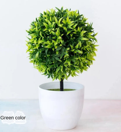 Skanto | Small Wooden Pot Bonsai Planter