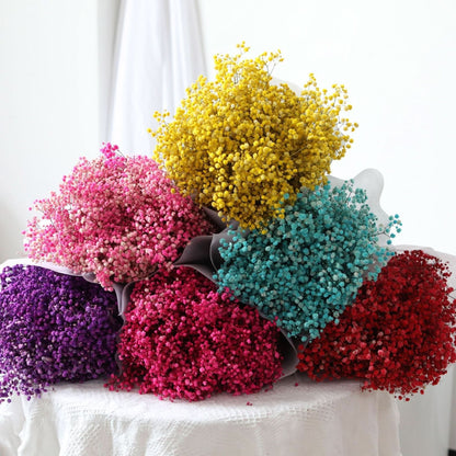 Skanto Skanto | Dried Preserved Gypsophila Flower Bunch – Natural Decor