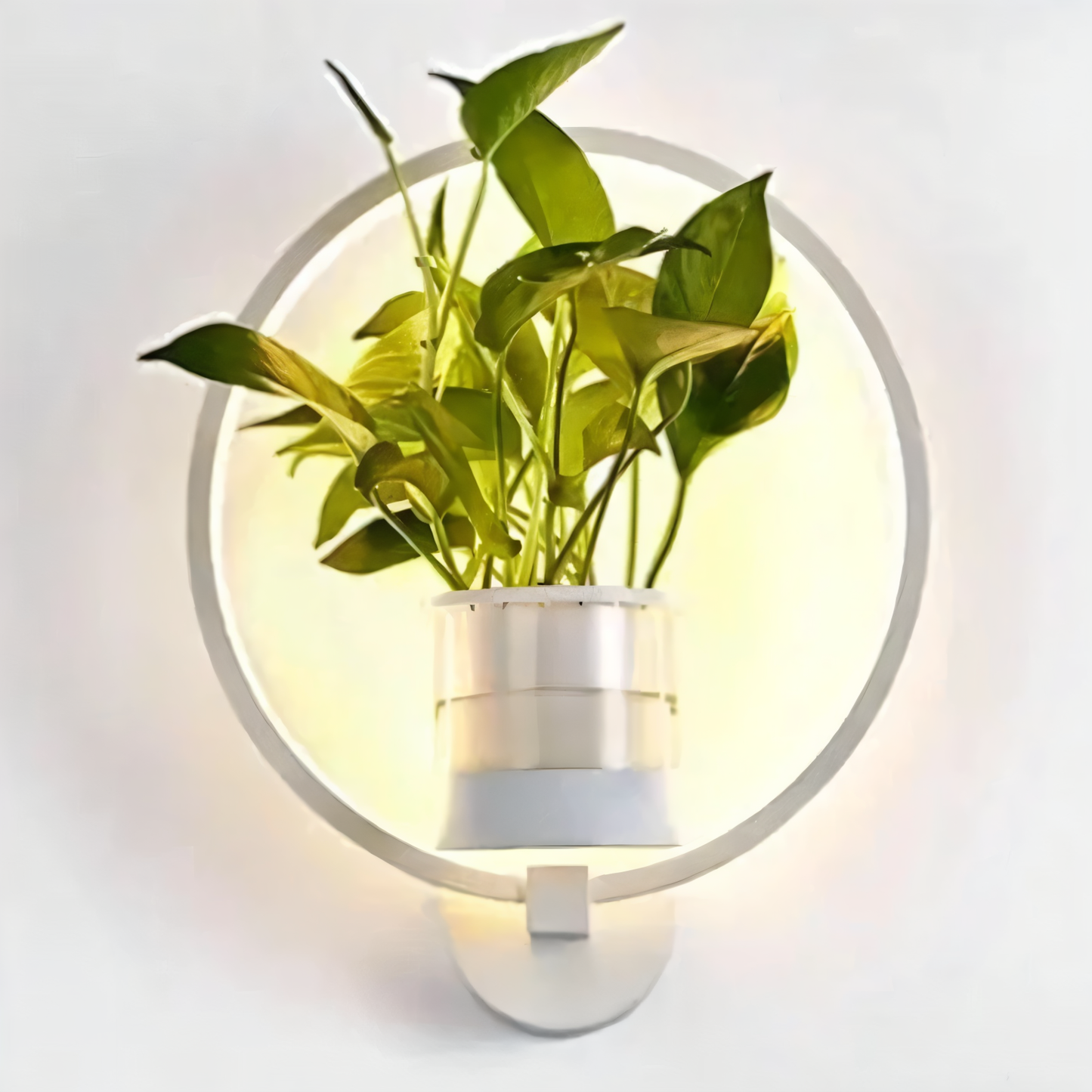 Frendorf | VerdantLume LED wall light with plant holder