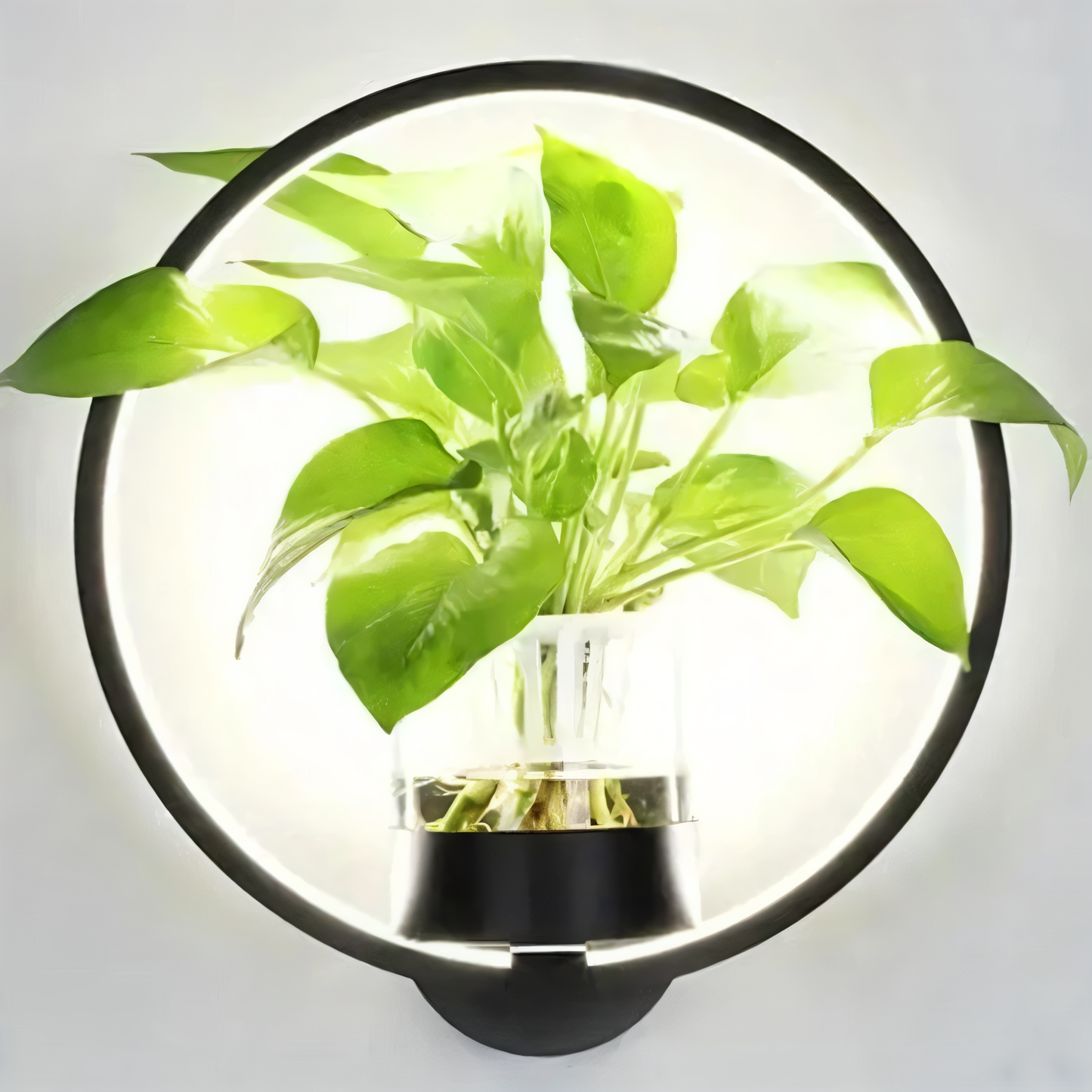 Frendorf | VerdantLume LED wall light with plant holder