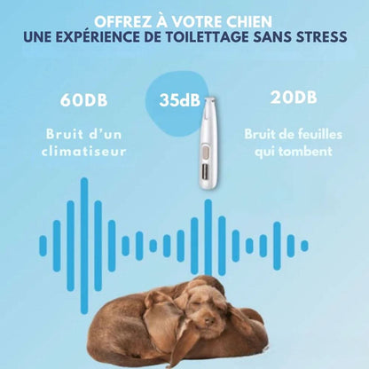 Skanto | Quiet Dog Trimmer for Clean Paws and Sensitive Areas
