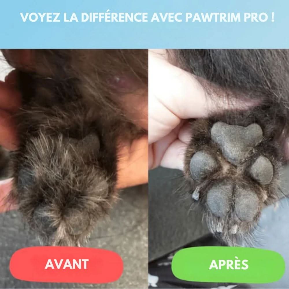 Skanto | Quiet Dog Trimmer for Clean Paws and Sensitive Areas