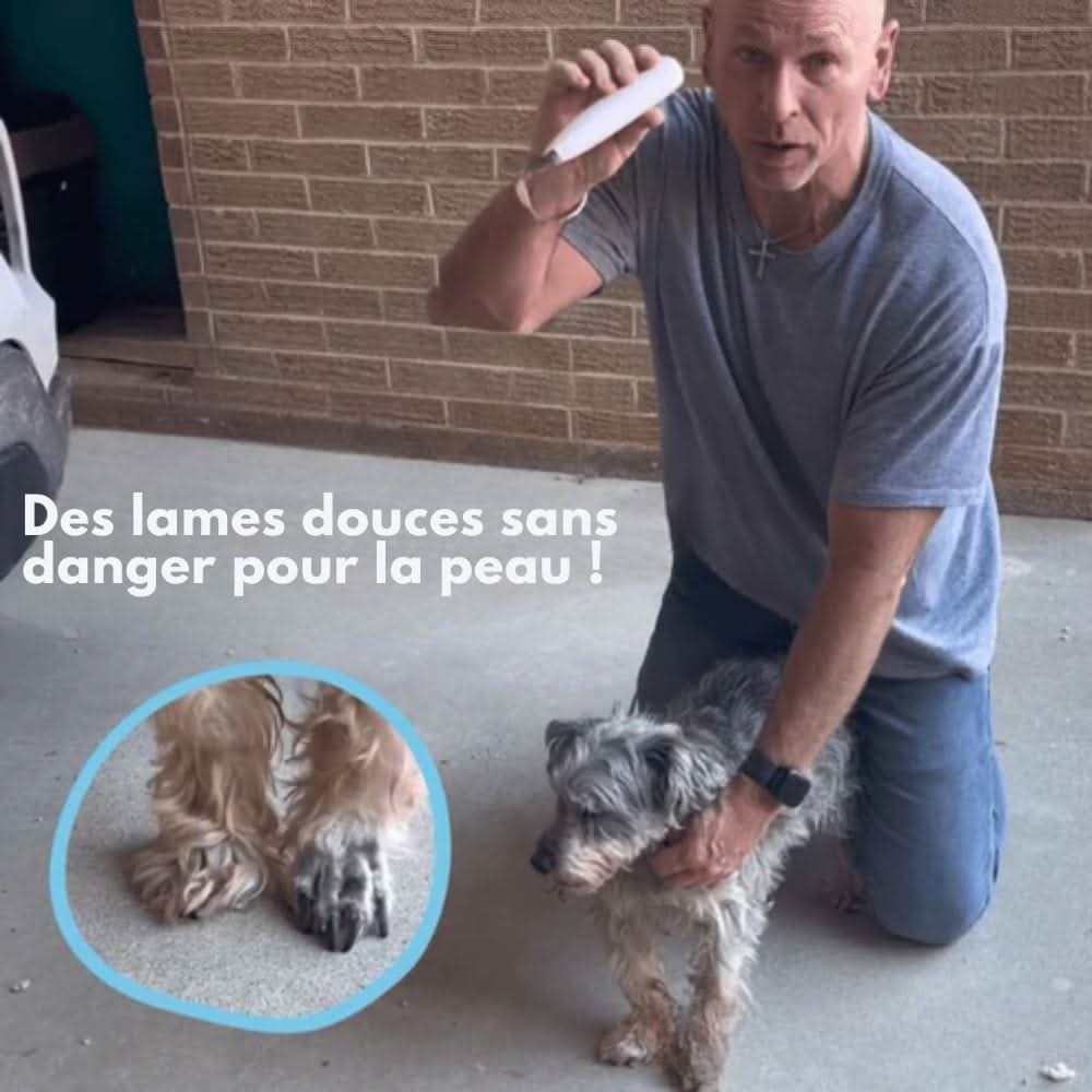Skanto | Quiet Dog Trimmer for Clean Paws and Sensitive Areas