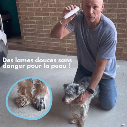 Skanto | Quiet Dog Trimmer for Clean Paws and Sensitive Areas