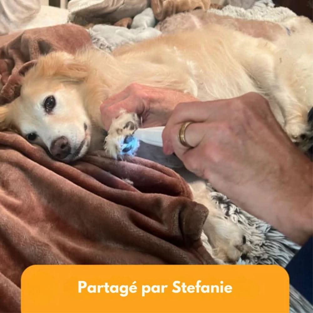 Skanto | Quiet Dog Trimmer for Clean Paws and Sensitive Areas
