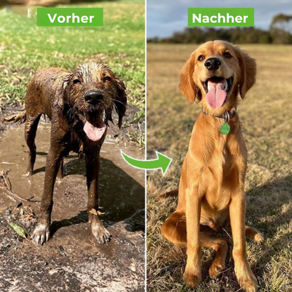 Skanto | Shower: High-Pressure, Adjustable, and Foam-Lined for Easy Dog Bathing.