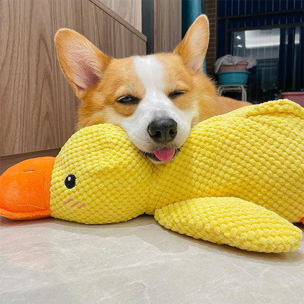 Skanto | Calming Duck for Dogs