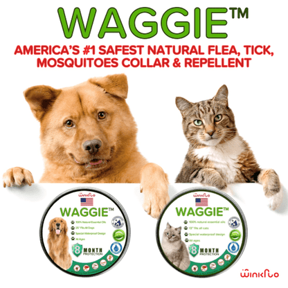 Skanto | Waggie - Natural Flea, Tick, & Mosquito Collar (Safest 8+ Months Protection)