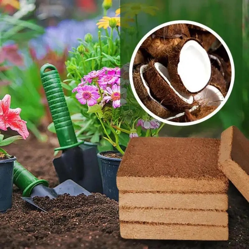 Skanto | Enriched Coconut Soil