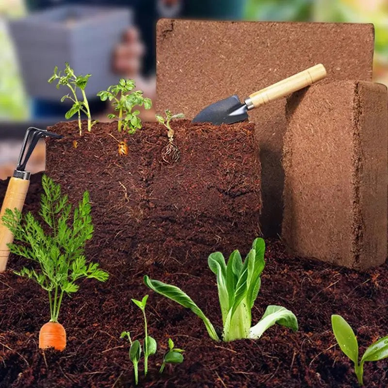Skanto | Enriched Coconut Soil