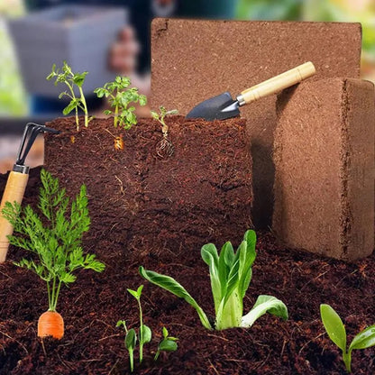 Skanto | Enriched Coconut Soil