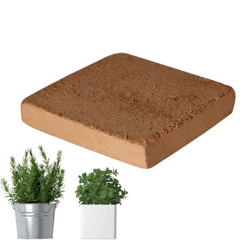 Skanto | Enriched Coconut Soil