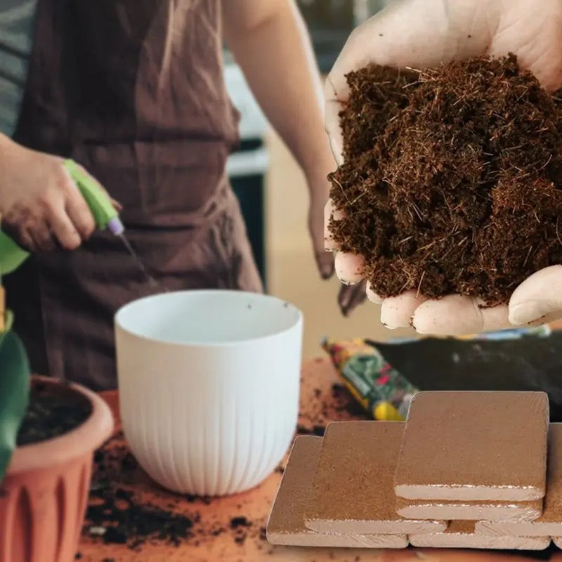 Skanto | Enriched Coconut Soil