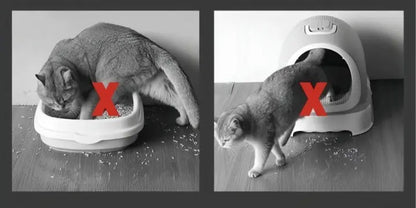 Kalsten | Cat litter mat – Keep your floors clean and litter-free!