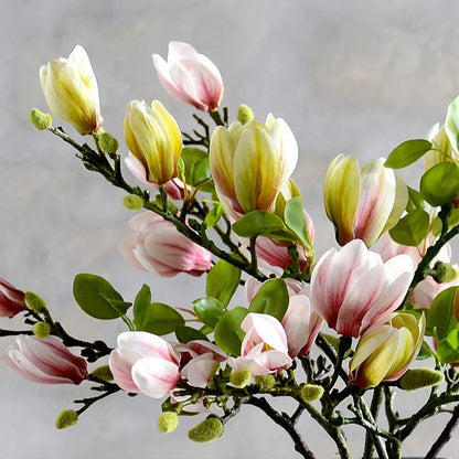 Skanto | Lifelike Artificial Magnolia Branches