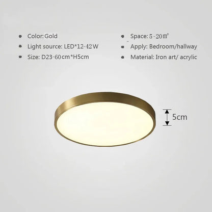 Multicolor LED Ceiling Light – Modern, colorful lighting for living room and bedroom