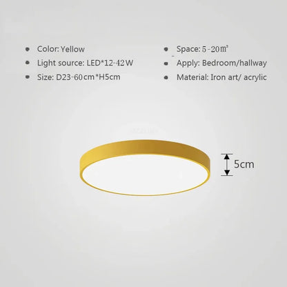 Multicolor LED Ceiling Light – Modern, colorful lighting for living room and bedroom