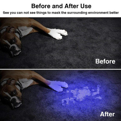 BowLift | LED UV Flashlight Ultraviolet Torch With Zoom Function Mini UV Black Light Pet Urine Stains Detector Scorpion Hunting