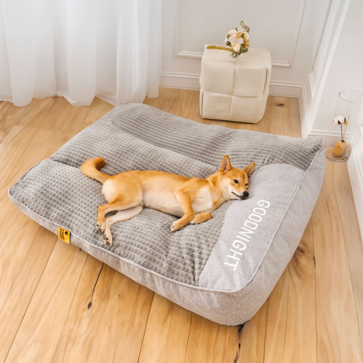 BowLift | CocoonChien | Optimal comfort for your companion