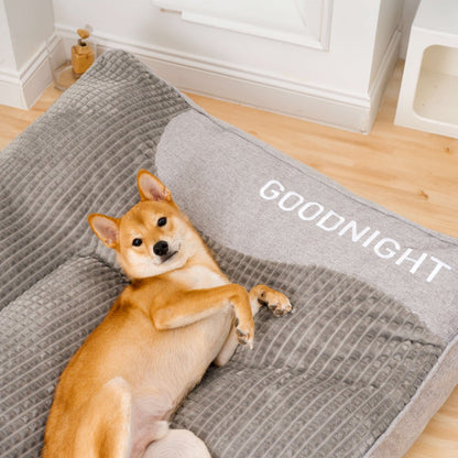 BowLift | CocoonChien | Optimal comfort for your companion