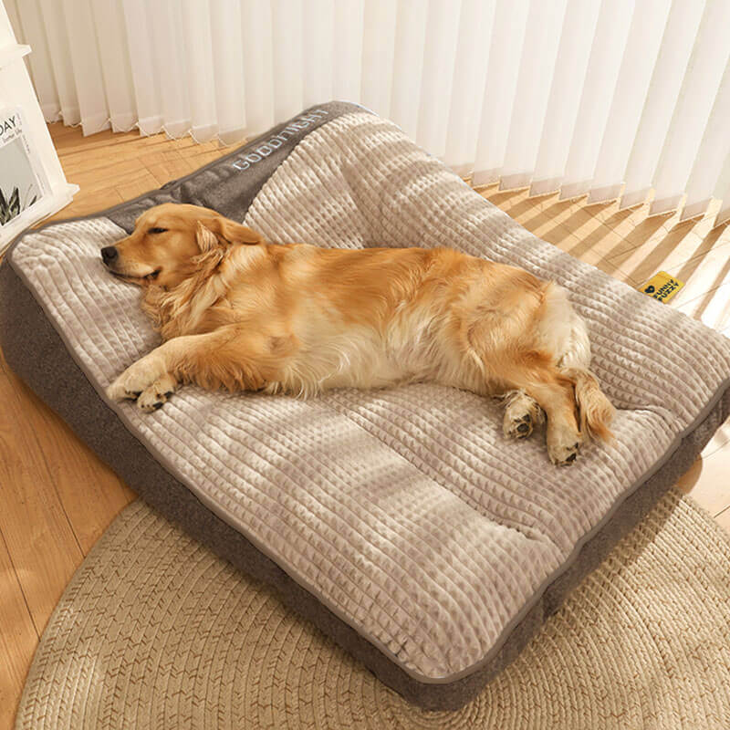 BowLift | CocoonChien | Optimal comfort for your companion