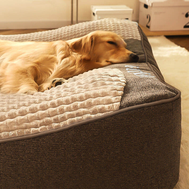 Skanto | CocoonChien | Optimal comfort for your companion