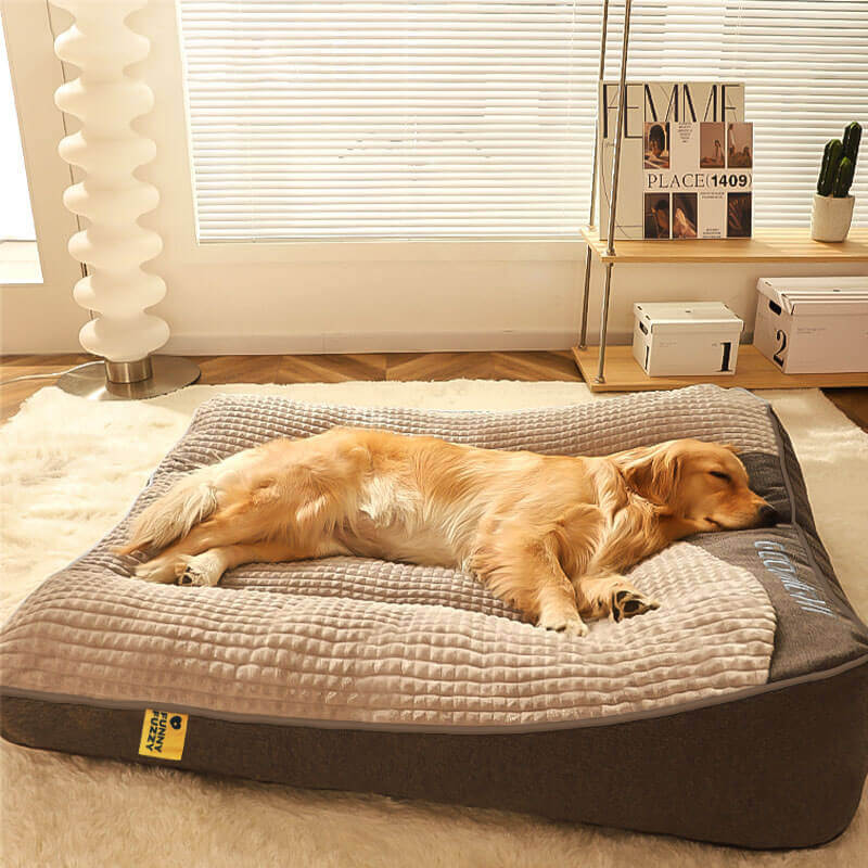 Skanto | CocoonChien | Optimal comfort for your companion