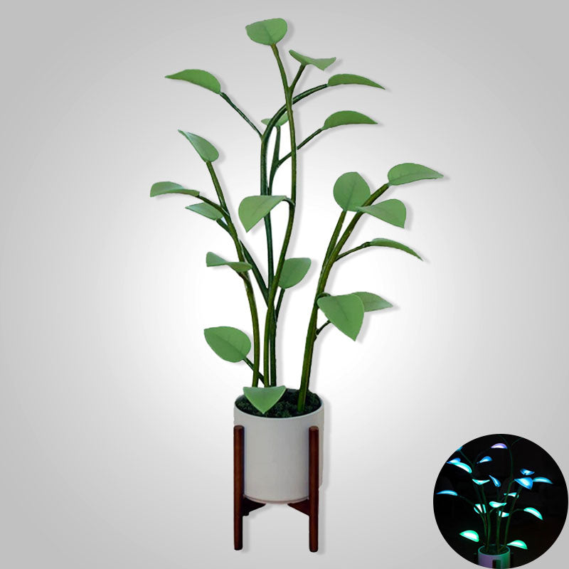 Skanto | Luminous Bloom | Magical LED Plant