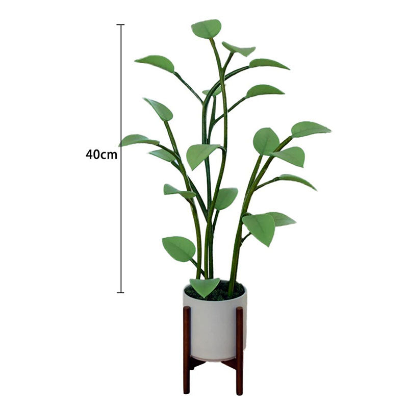Skanto | Luminous Bloom | Magical LED Plant