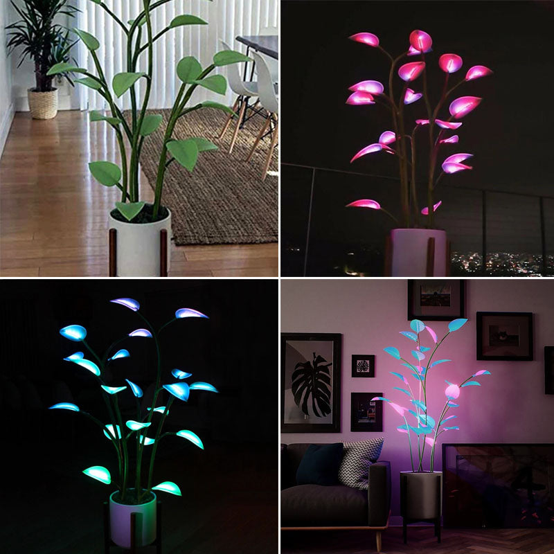 Skanto | Luminous Bloom | Magical LED Plant