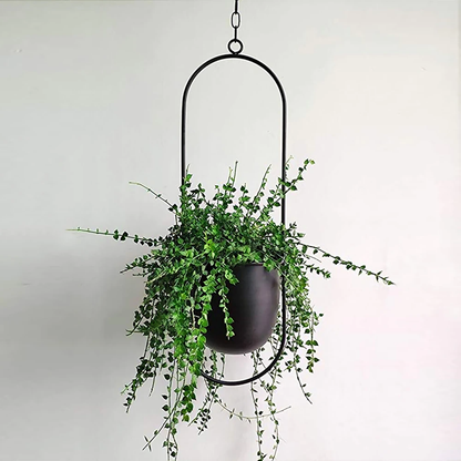 Skanto | Skanto Luxury Modern Hanging Pot