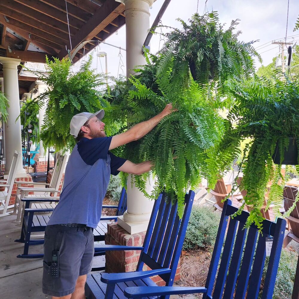 Skanto | UV-Resistant Lifelike Artificial Boston Fern – Perfect for Outdoor Decor