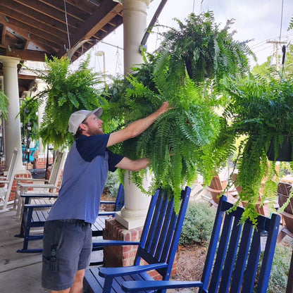 Skanto | UV-Resistant Lifelike Artificial Boston Fern – Perfect for Outdoor Decor