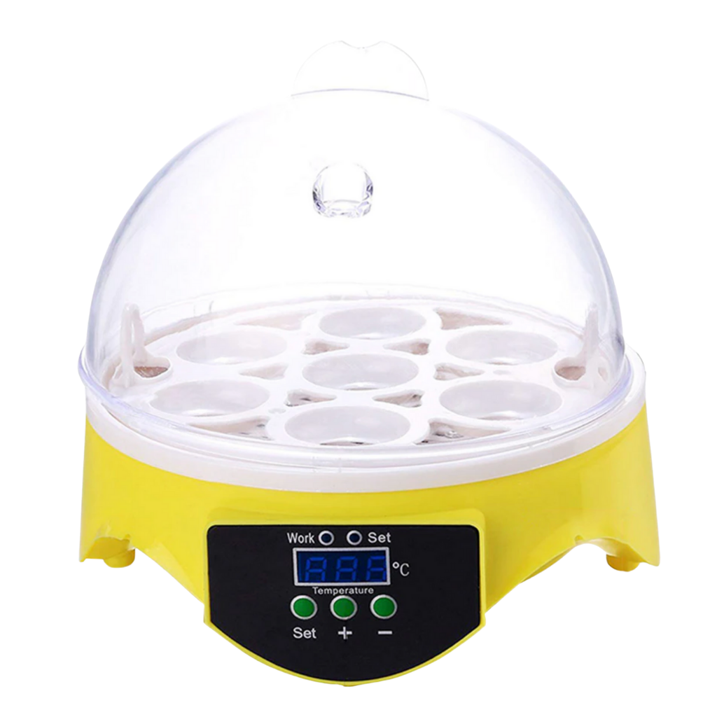 Mini Incubator