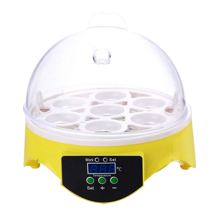 Mini Incubator