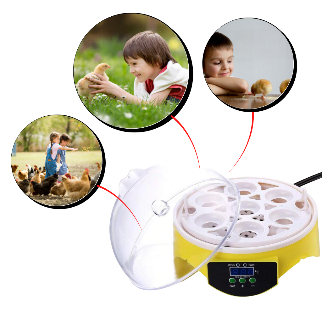 Mini Incubator