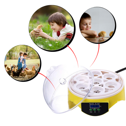 Mini Incubator