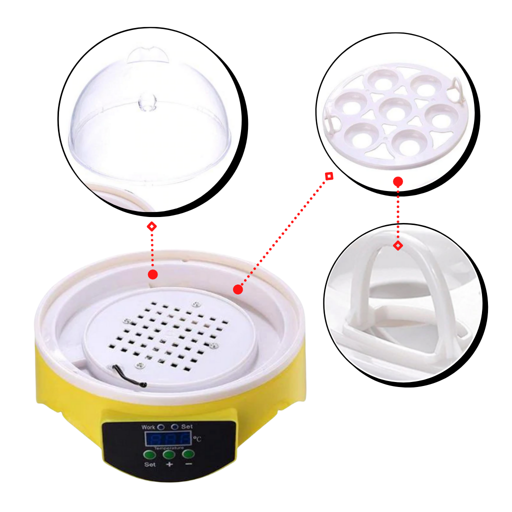 Mini Incubator