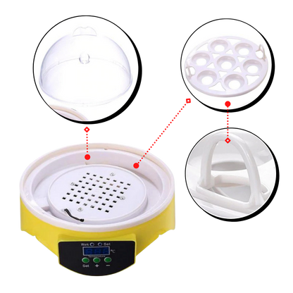 Mini Incubator
