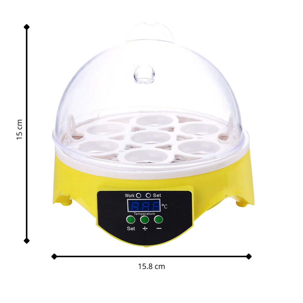 Mini Incubator
