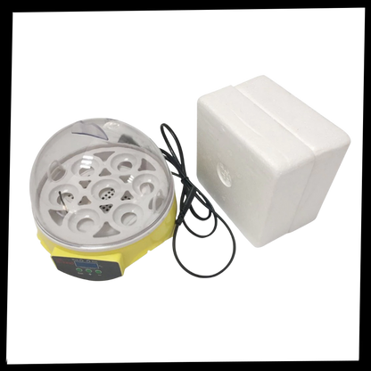 Mini Incubator