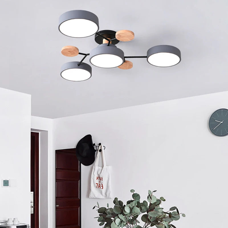 Designer Ceiling Lamp | Skanto