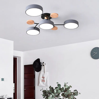 Designer Ceiling Lamp | Skanto